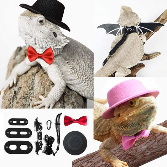 Reptile Going Hat Leash