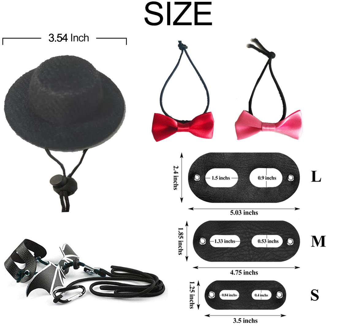 Reptile Going Hat Leash