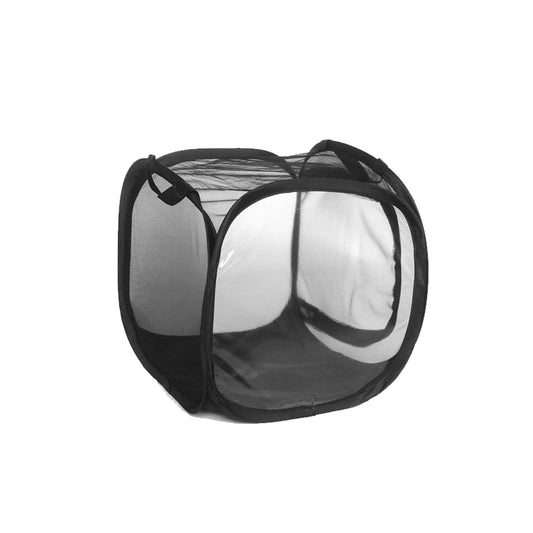 Collapsible Insect Net Cage Feeding Box Small 01