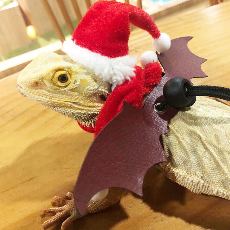Lizard Christmas Costume 01