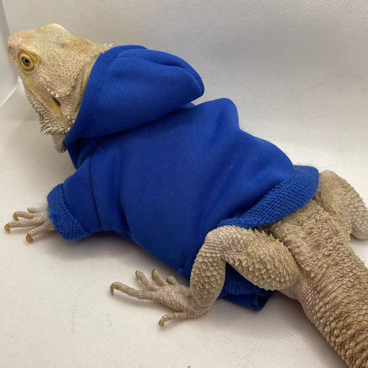 Lizard Clothing Hoodie T-Shirt5