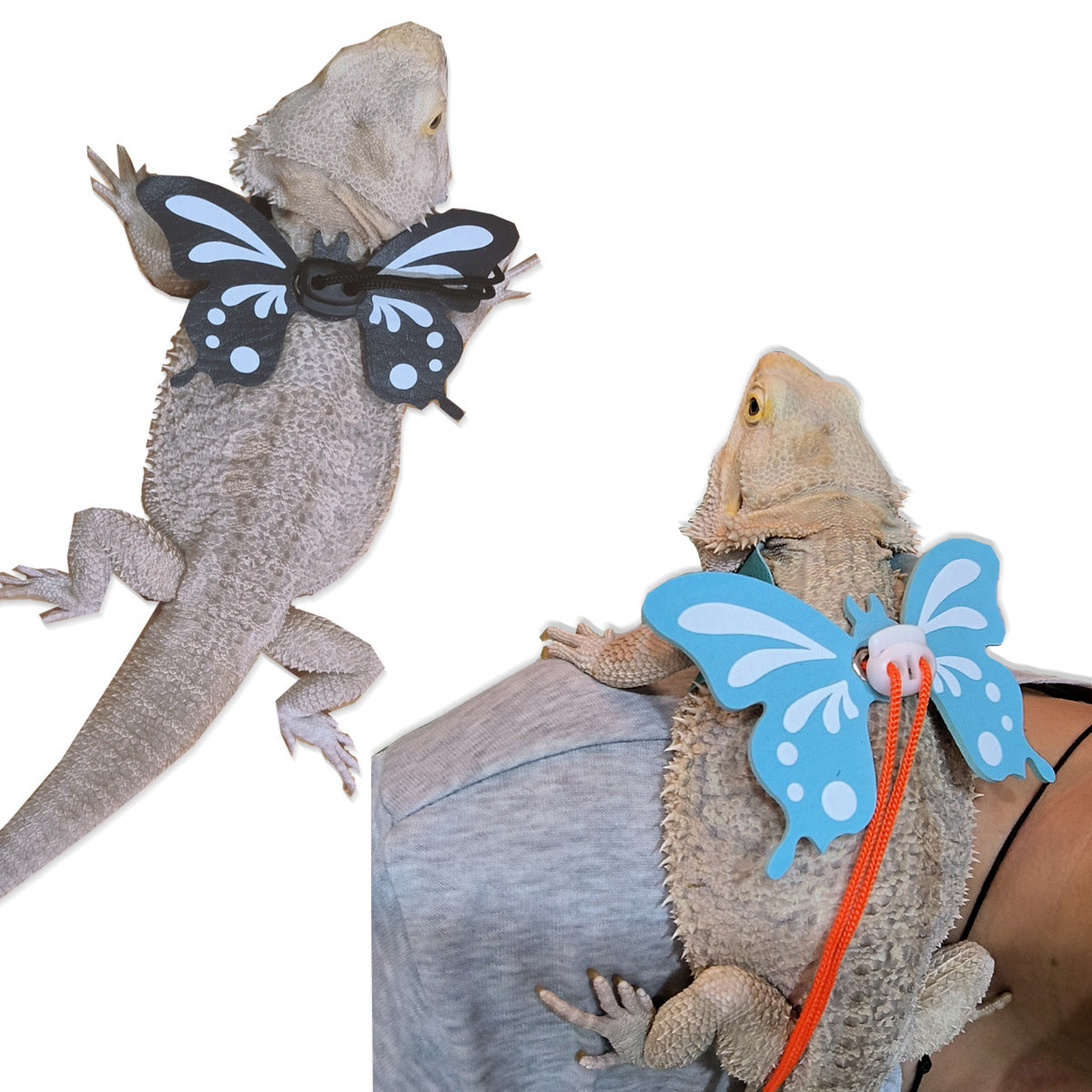 Lizard Leash Bearded Dragon Tow Rope 04