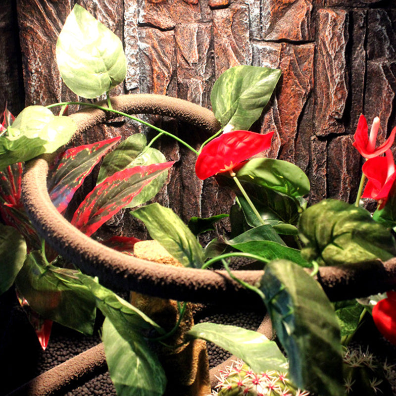 Reptile Rainforest Tank Landscape Vine 04