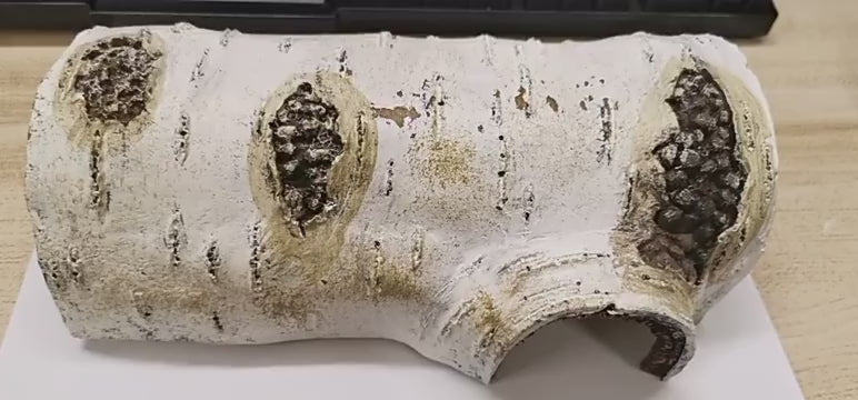 Resin Simulated Birch Dodge