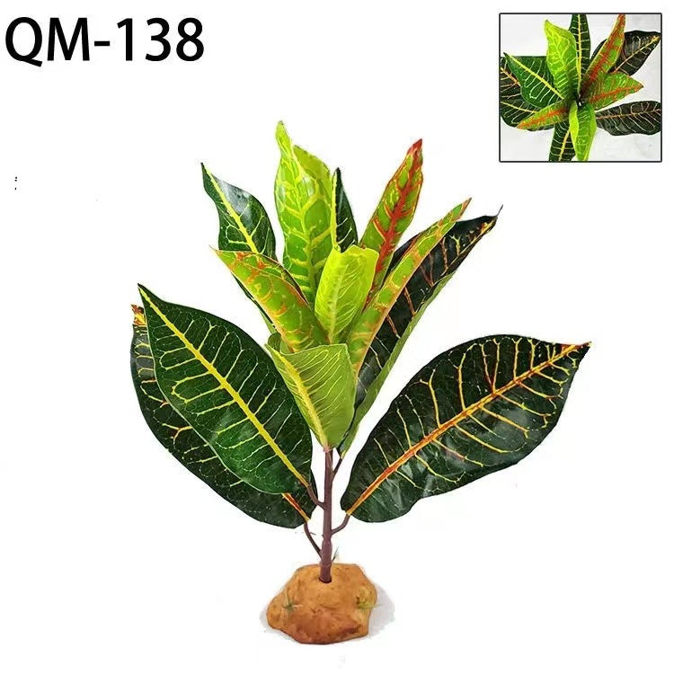 Reptile Landscaping Simulation Plant