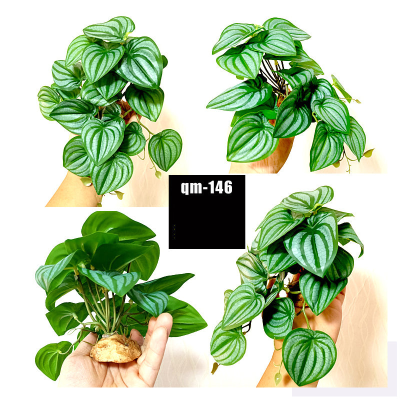 Reptile Landscaping Simulation Plant