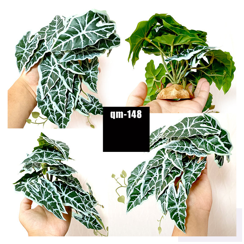 Reptile Landscaping Simulation Plant