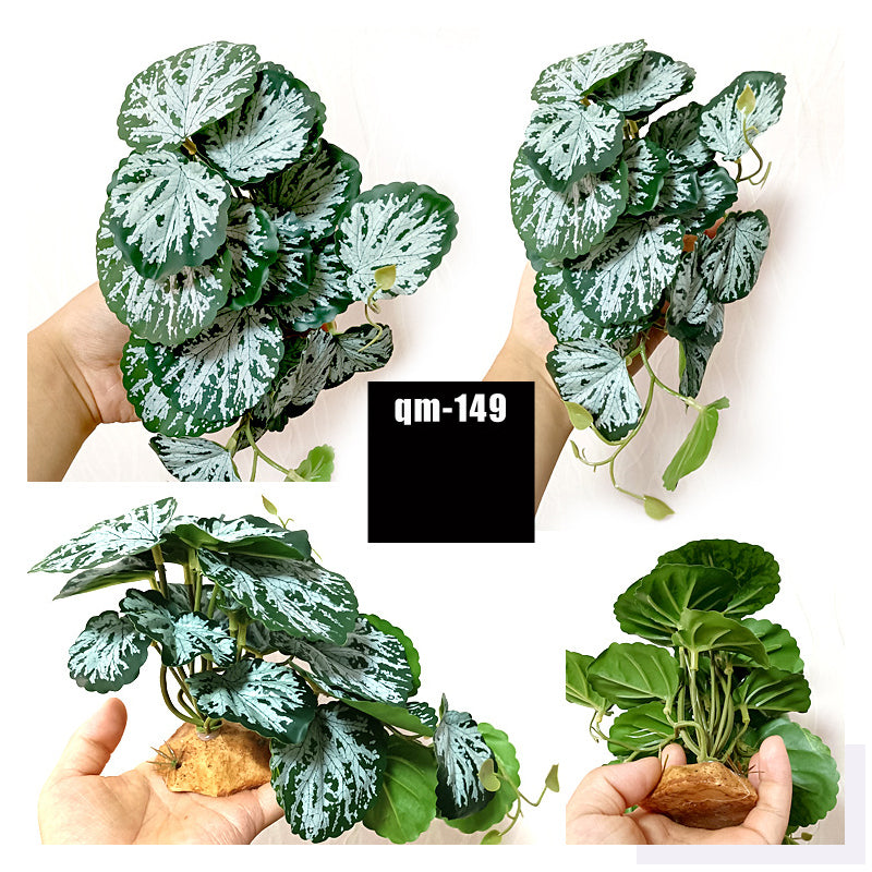 Reptile Landscaping Simulation Plant