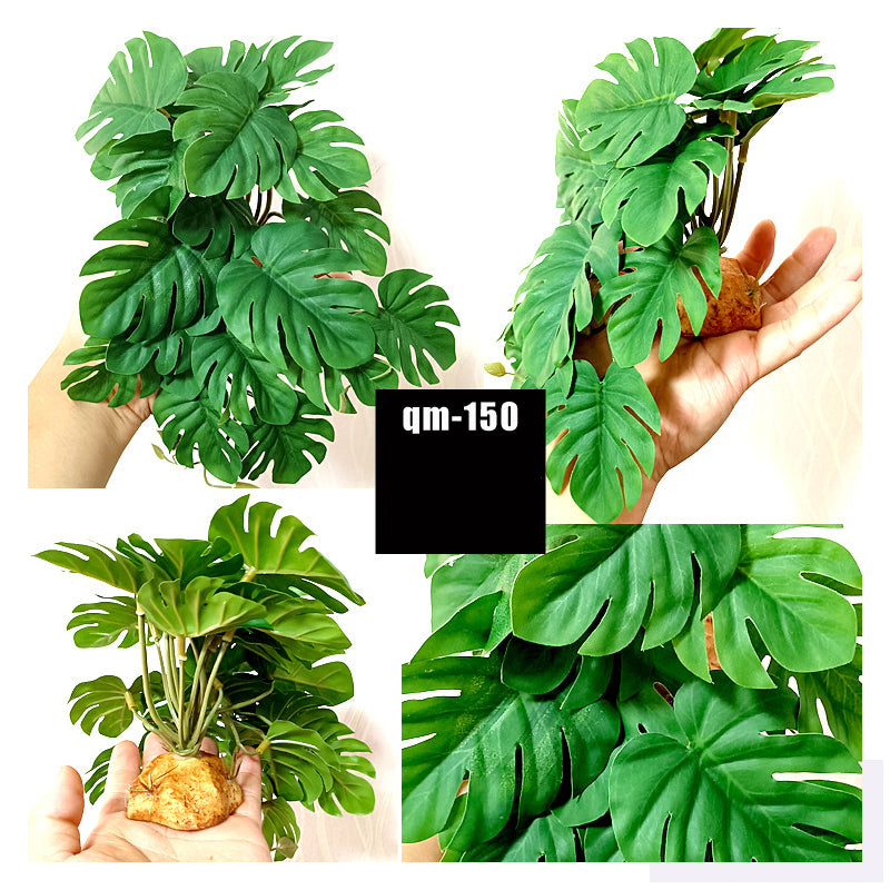 Reptile Landscaping Simulation Plant