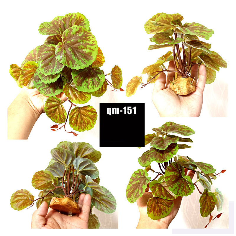Reptile Landscaping Simulation Plant