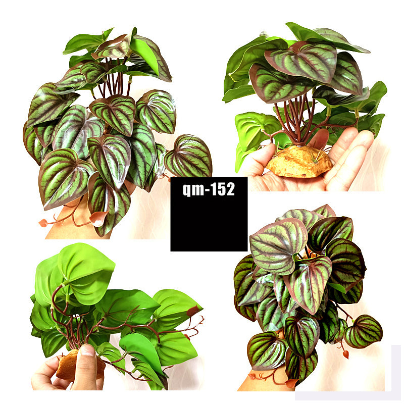 Reptile Landscaping Simulation Plant