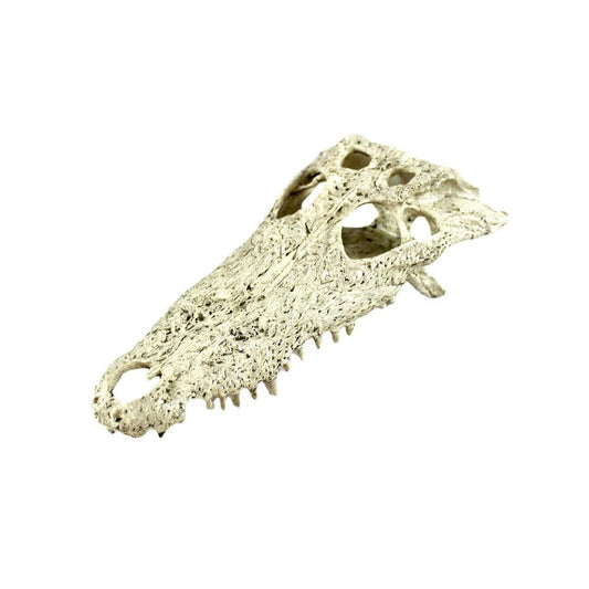 Dinosaur Skull Landscaping Hide Cave