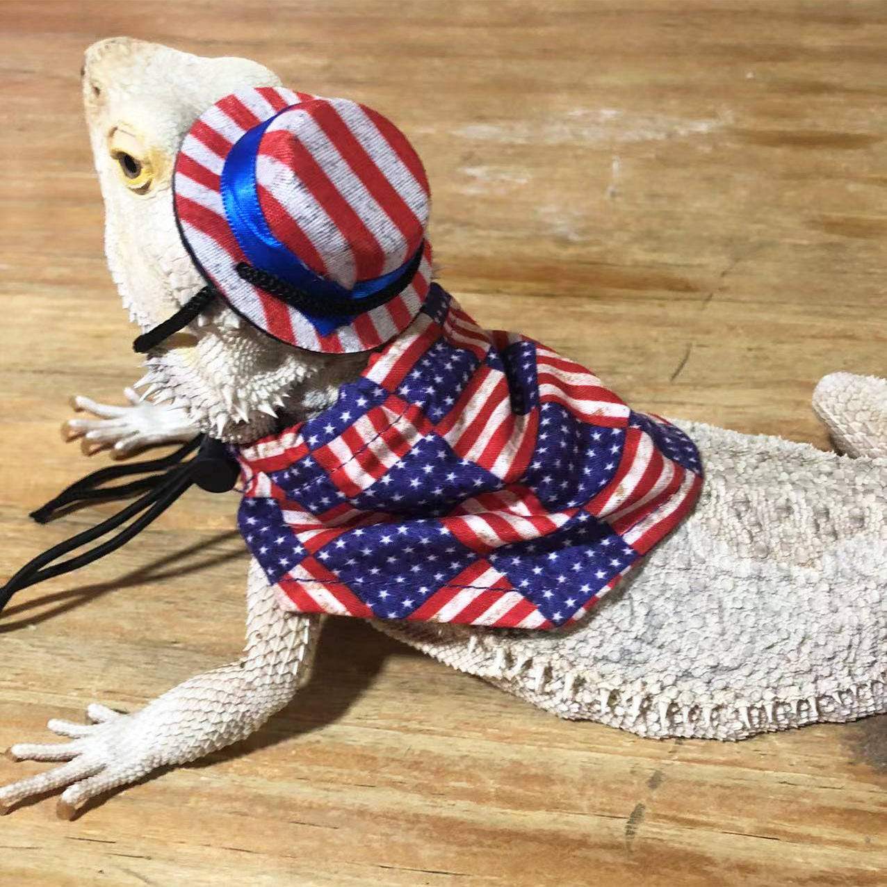 Lizard Hat Cloak Independent Day Set 02
