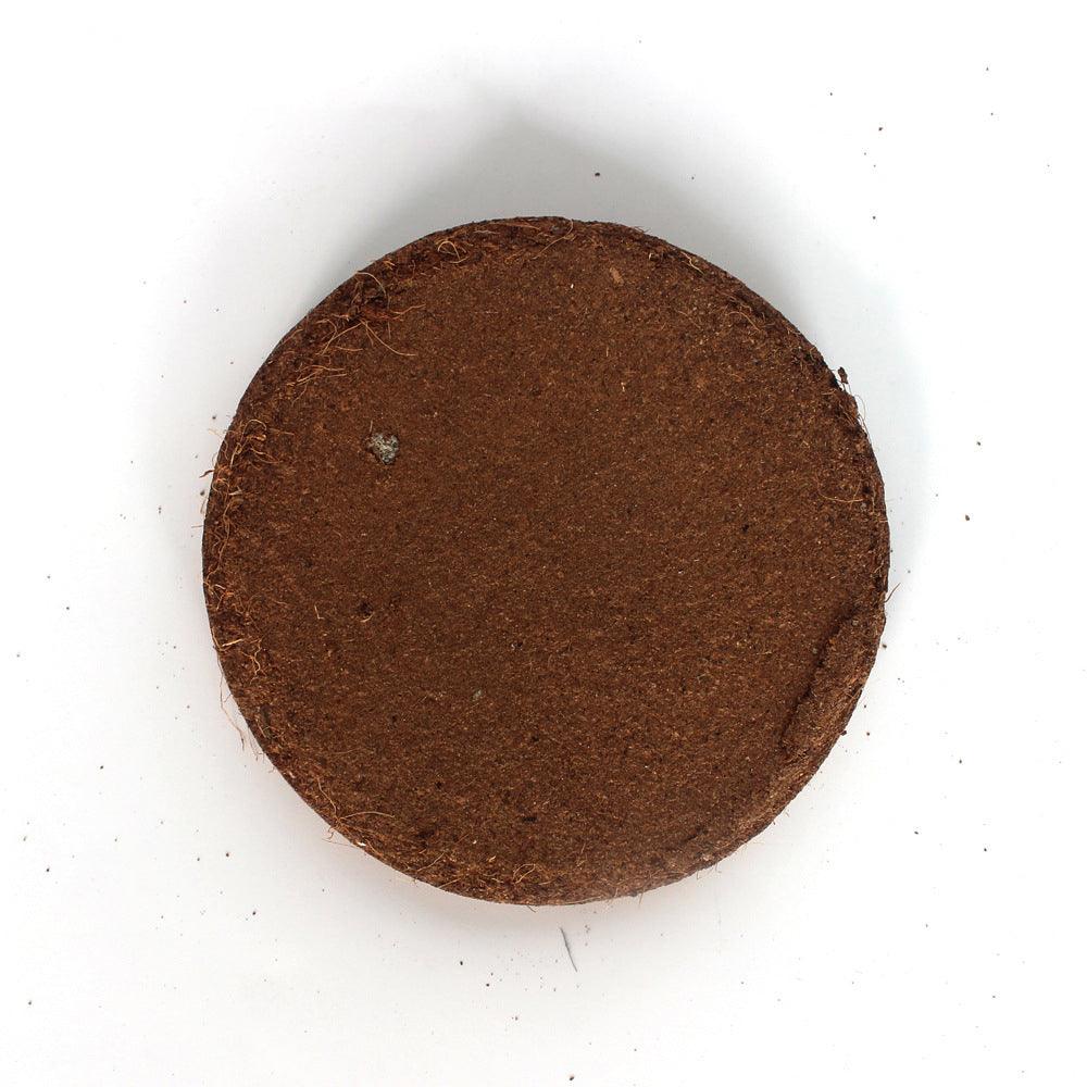 Reptile Coconut Cake 70g Substrates 02