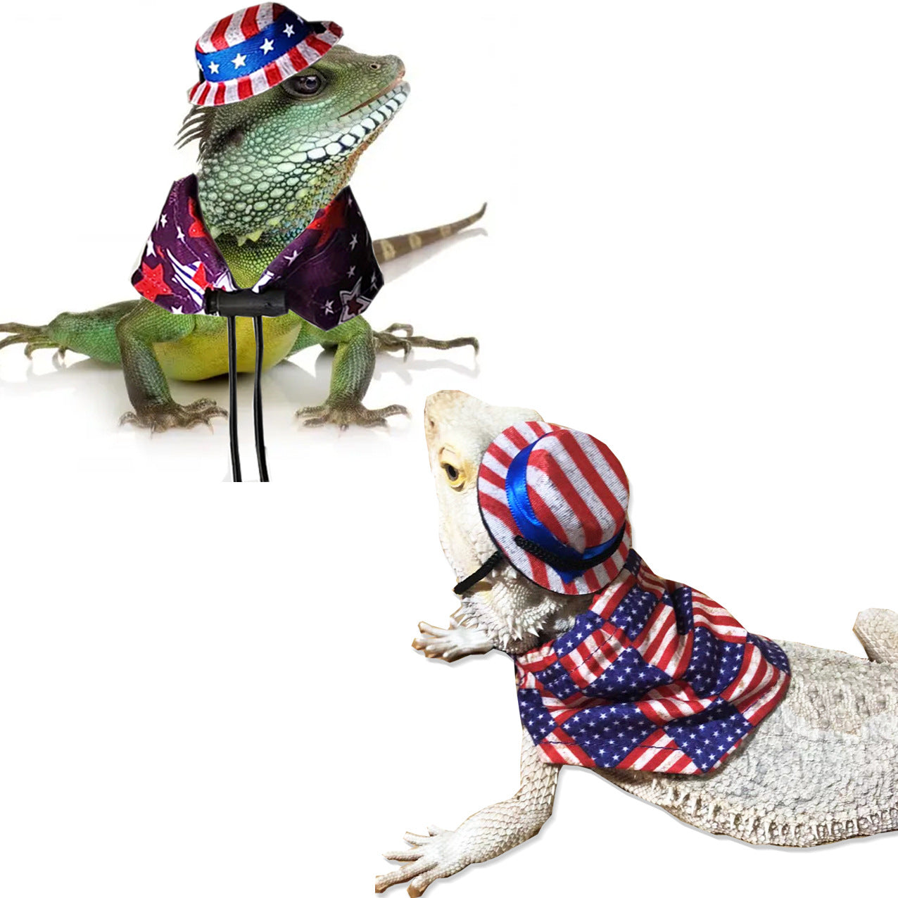 Lizard Hat Cloak Independent Day Set 01