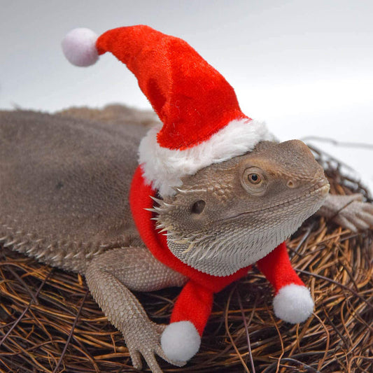 Lizard Christmas Costume 01