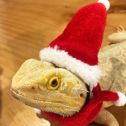 Lizard Christmas Costume 05