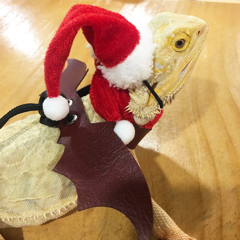 Lizard Christmas Costume