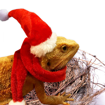 Lizard Christmas Costume 02