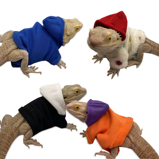 Lizard Clothing Hoodie T-Shirt1