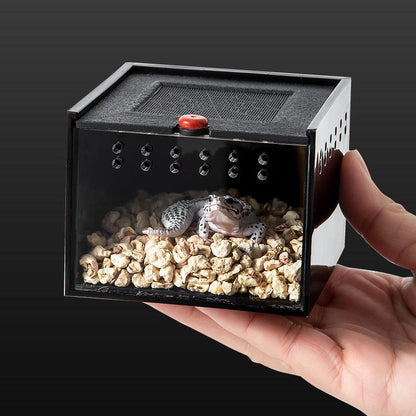 Insect & Reptile Mini Enclosure Cage Terrarium - Oddpoint Pets