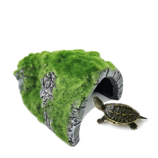 Simulation Turtle Hiding Hole1