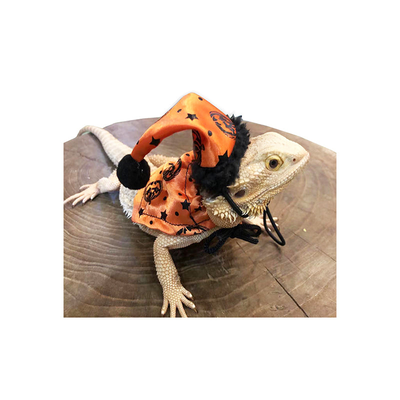 Lizard Halloween Hat Cloak Set 01