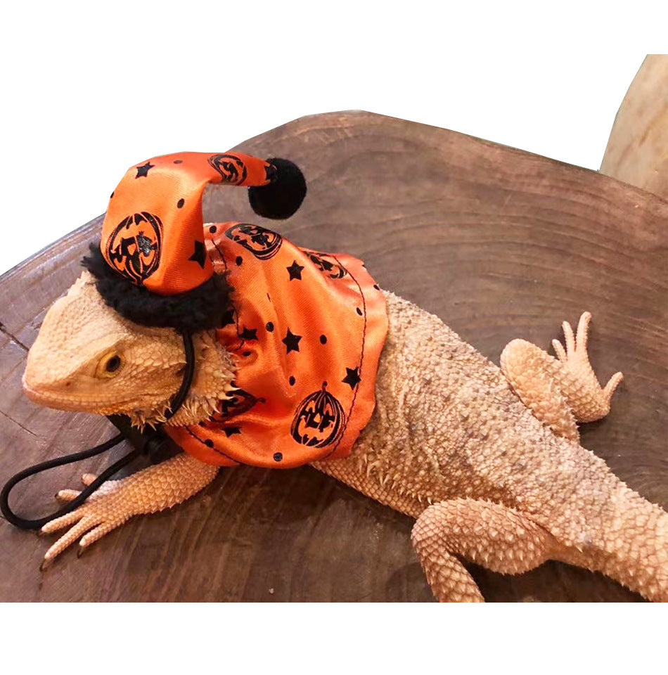 Lizard Halloween Hat Cloak Set 02
