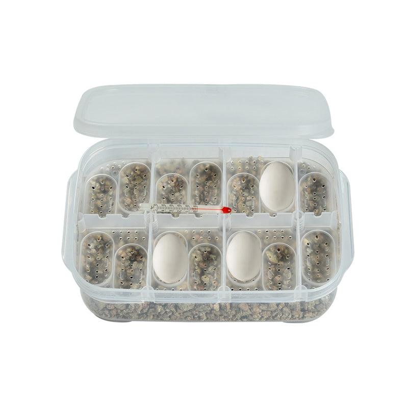 Reptile Hatching Egg Tray 01